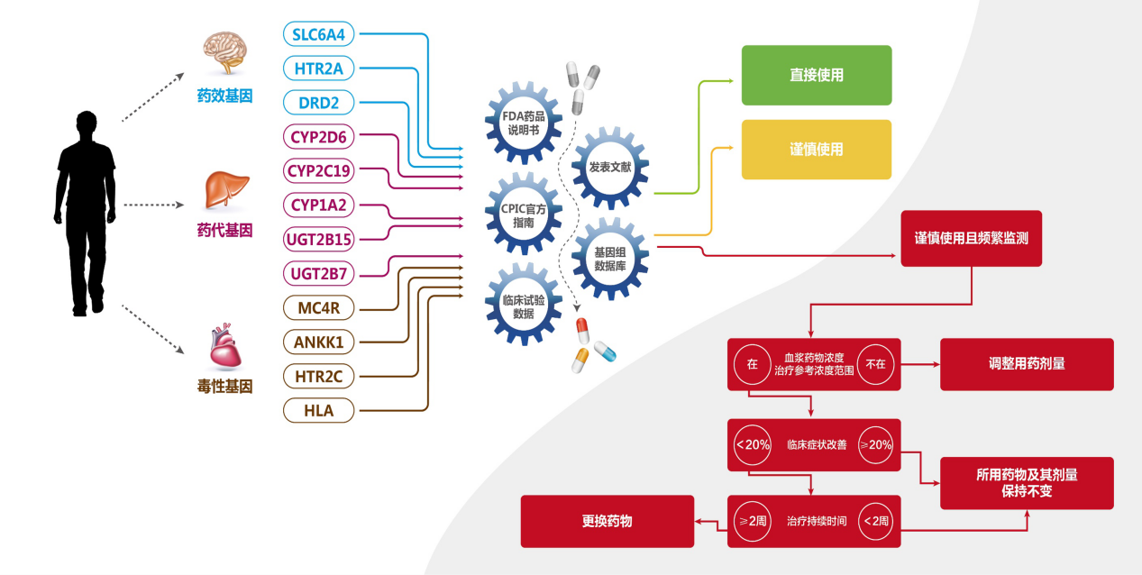 抗癫痫类药物基因检测对癫痫患者治疗有多重要？你一定不知道!